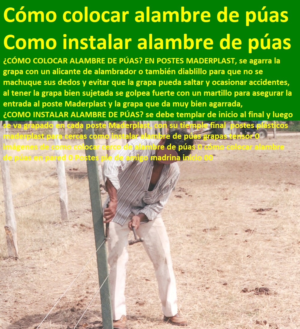 postes plásticos maderplast para cercas como instalar alambre de púas grapas tensor 0 imágenes de como colocar cerco de alambre de púas 0 cómo colocar alambre de púas en pared 0 Postes pie de amigo madrina inicio 00 postes plásticos maderplast para cercas como instalar alambre de púas grapas tensor 0 imágenes de como colocar cerco de alambre de púas 0 cómo colocar alambre de púas en pared 0 Postes pie de amigo madrina inicio 00 postes plásticos maderplast para cercas como instalar alambre de púas grapas tensor 0 imágenes de como colocar cerco de alambre de púas 0 cómo colocar alambre de púas en pared 0 Postes pie de amigo madrina inicio 00